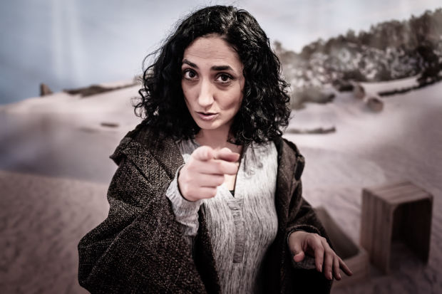 TROJAN HORSE, 2024/25